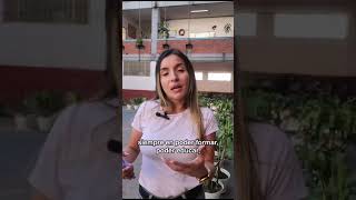 Nuestro colegio como entorno seguro [upl. by Swanhilda]