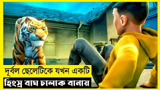 The Tigers Apprentice Movie Explain In BanglaFantasyAdventureThe World Of Keya Extra [upl. by Enelaehs]