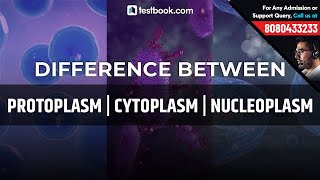 Difference between Protoplasm Cytoplasm amp Nucleoplasm for SSC CGL Biology  Crack CHSL 2019 amp CPO [upl. by Hogue]