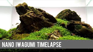 Nano Iwagumi HardscapeTimelapse and Development in a Dennerle Scaper’s Tank [upl. by Ilzel843]