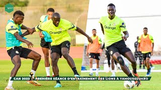 CAN 2023  Première Séance d’entrainement des lions à Yamoussoukro [upl. by Eerual2]