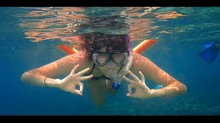 Snorkeling in Red Sea  Colorful Fishes [upl. by Orlanta]