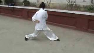 a kung fu masters amazing exercise [upl. by Robb]