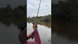 Reel Iroly Rastaban New Generation vs Rod Diablo IIirolyirolyfishingteam castingfishingmancing [upl. by Isma]