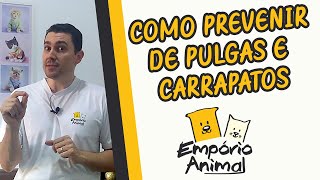 Como prevenir e tratar pulgas e carrapatos em cães e gatos [upl. by Hung860]