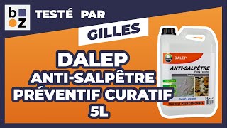 Antisalpêtre  préventif curatif – sans odeur DALEP  Test et Avis [upl. by Dirrej]