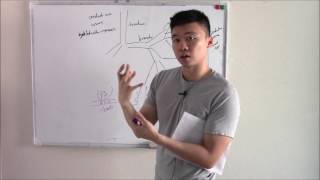 USMLE Respiratory 1 Lung Anatomy and Embryology [upl. by Gow]