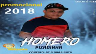 HOMERO PIZADINHA 2018  COMPLETO [upl. by Georgena]