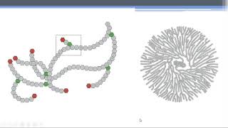 Almacenamiento de carbohidratos Glucogénesis [upl. by Bria]