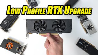 This New Low Profile GPU Might Just Be What Your SFF PC Needed [upl. by Ahsenev]