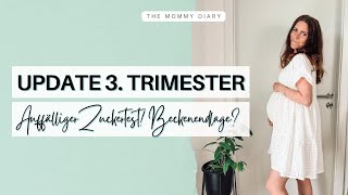 UPDATE  3 Trimester  SSW30  Auffälliger Zuckertest Beckenendlage [upl. by Truman]