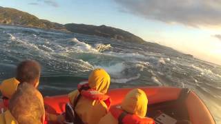 SeaFari trip from Easdale Island Obanish to see Correyvreckan Whirlpools [upl. by Atteuqaj]