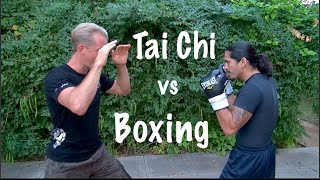 Tai Chi vs Boxing [upl. by Aliuqehs537]