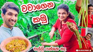 සල්ලි නැතුව මෑ කරල්  Sangeeth VlogsSangeeth Satharasinghe [upl. by Su]