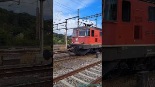 SBB Güterzug und SBahn beim Bahnhof KillwangenSpreitenbach [upl. by Gothard]