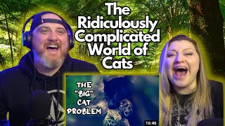 The Ridiculously Complicated World of Cats mndiaye97  HatGuy amp gnarlynikki React [upl. by Dafna]