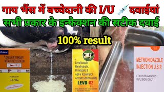 Metritis Pyometra treatment in cow buffalo गाय भैंस में बच्चेदानी गर्भास्य के इंफेक्शन की टॉप 💉 [upl. by Keeryt]