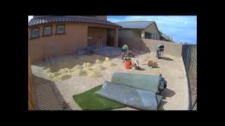 How to Landscape a Dirt Yard [upl. by Ahsiloc]