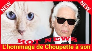 L’hommage de Choupette à son “papa” Karl Lagerfeld [upl. by Einal]