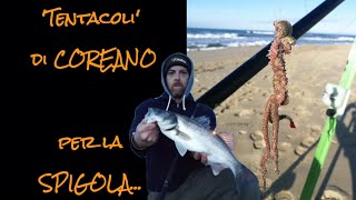 Surfcasting Tutorial esca ottima per la Spigola  TENTACOLI di COREANO [upl. by Coussoule126]