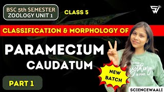 Introduction to PARAMECIUM Caudatum 🔥 Protozoa to Coelentrate  BSc 5th Semester Zoology Unit 1 [upl. by Atinihs]