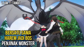 DIREMEHKAN RANK TERENDAH TERNYATA LEBIH OVERPOWER DARI RANK SS JADI PENJINAK MONSTER [upl. by Savvas65]