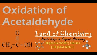 Oxidation of Acetaldehyde Acetic Acid Oxidizing Agent Carbonyl compounds Organic Chemistry [upl. by Adnofal390]