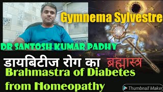 Brahmastra Homeopathic medicine for Diabetes mellitus  Gymnema Sylvestre Q [upl. by Ailene910]