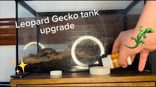 Leopard Gecko tank upgrade [upl. by Atiluap]