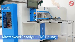 SPEEDY II DRILLING AND ROUTERING CNC  MASTERWOOD [upl. by Attinahs667]