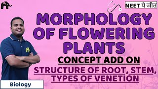 11th BIOLOGY 9MORPHOLOGY OF FLOWERING PLANTSLECTURE 01Types of RootsRegion of Typical Root [upl. by Willin351]