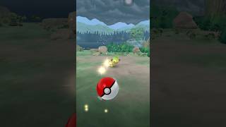 GROOKEY DEBUT pokemon pokemongo grookey dynamax gigantamax [upl. by Akerahs]