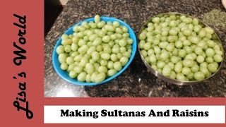 How To Make Sultanas  Raisins From White Grapes with Lisas World [upl. by Edlihtam]