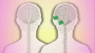 CranioSacral Therapy What is it How does it work by Tad Wanveer [upl. by Llerrah]