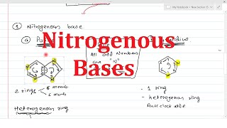 Nitrogenous Bases  Chemistry of Nucleic acid Part1  Purines amp Pyrimidines [upl. by Tepper]