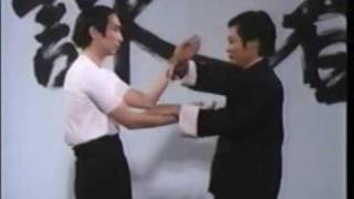 Descendants of Wing Chun [upl. by Terrilyn101]