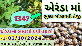 એરંડા નાં ભાવ । 03102024 ।Aranda na bhav । આજનાં એરંડા ના ભાવ । Aajana bajar bhavએરંડા [upl. by Nichole]