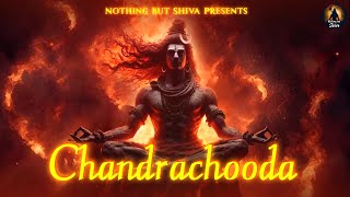 Chandrachooda Shiva Shankara Parvati Full Version  Mahashivratri 2024  Sundara Dhara Shiva Song [upl. by Otrevogir974]