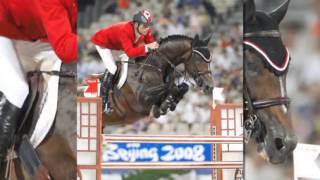 Jumper Horse Hickstead [upl. by Hajidahk505]