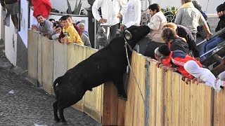 Tourada JAF  Canada Das Mercês  12 Outubro 2019  Ilha Terceira Açores [upl. by De Witt]