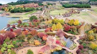 Exploring Mayfield Gardens Oberon [upl. by Arakat]