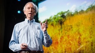 How to green the worlds deserts and reverse climate change  Allan Savory [upl. by Suivatra]