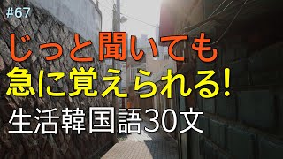 ワクワク韓国語 毎日聞いていると韓国語がすらすらと出てきます 生活韓国語 30文  韓国語会話 韓国語ピートリスニング 韓国語聞き取り [upl. by Llehcim]