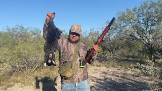 Caceria de CONEJO gigante con rifle de aire EMPERADOR MENDOZA 45 [upl. by Bird185]