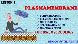 PLASMA MEMBRANE BSc Zoology1semBIOLOGYWITHJAGRITI MSc ZOOLOGYEASY EXPLANATION WITH ARRANGED NOTES [upl. by Selene]