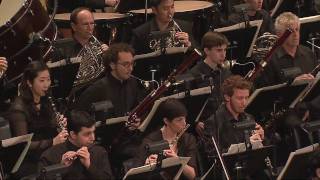 Johannes Brahms  YouTube Symphony Orchestra [upl. by Senskell]