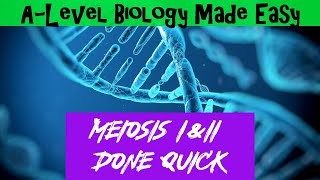 Meiosis I amp II  A Level Biology Made Easy [upl. by Paolo]