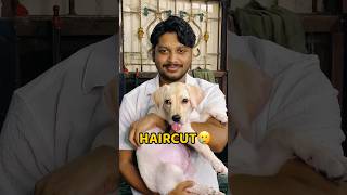 Baal Chote Kara Liye🥲🥲 shorts vlog minivlog haircut hair [upl. by Bruckner]