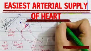 Easiest way to memorize ARTERIAL SUPPLY OF HEART  MEDICINE with DR SHAMAMA [upl. by Saimerej]