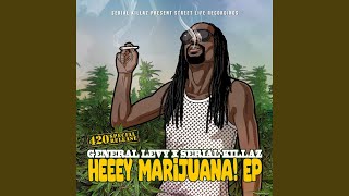 Heeey Marijuana [upl. by Caassi]